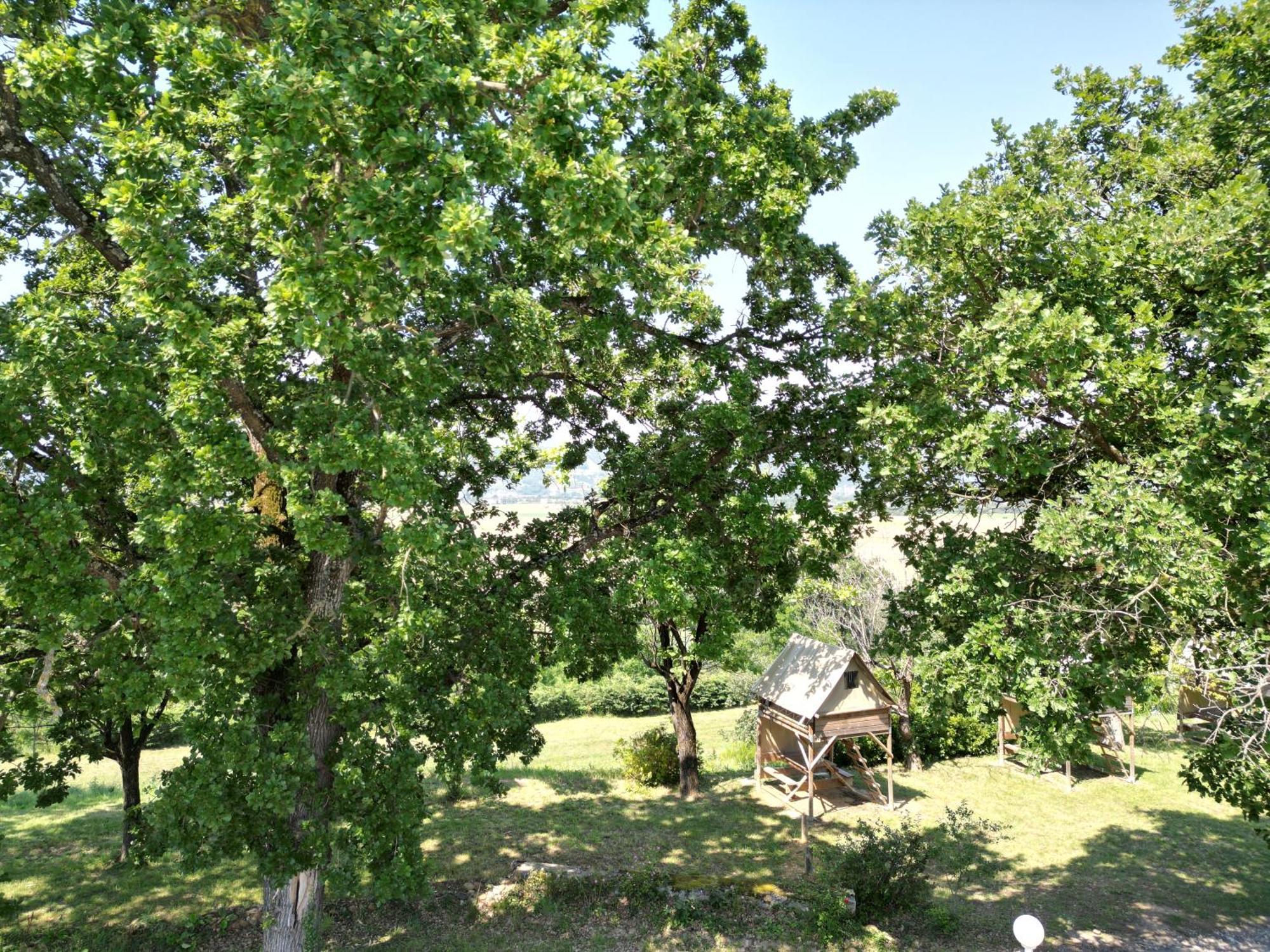 Camping Domaine De Senaud Albon Esterno foto